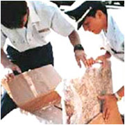 Total Security Solutions 