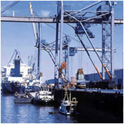 Sea Freight Forwarding